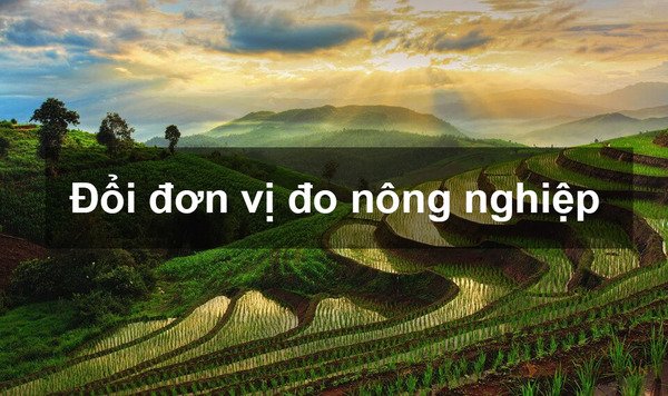 1 mẫu bằng bao nhiêu sào